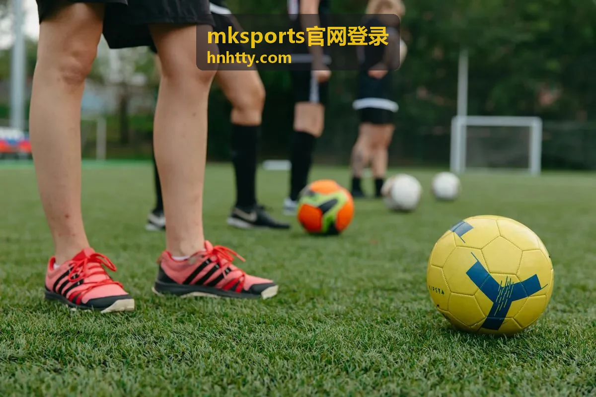 mksports官网登录异常提醒与密码找回处理流程